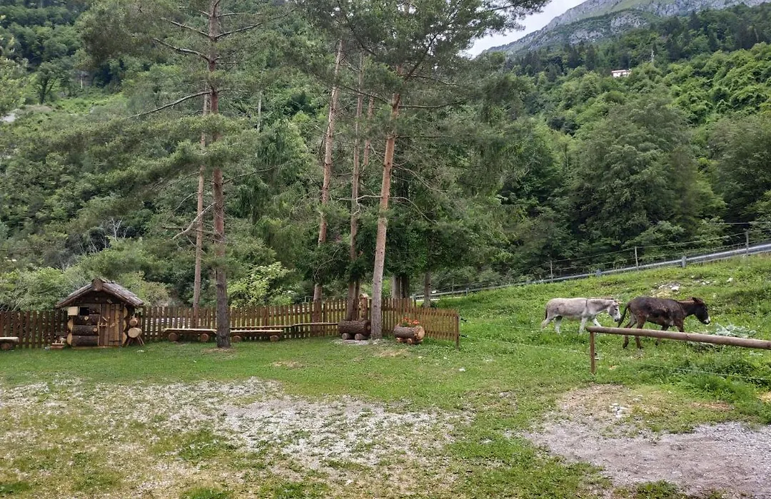 B&B l'Asinello Rampante-1